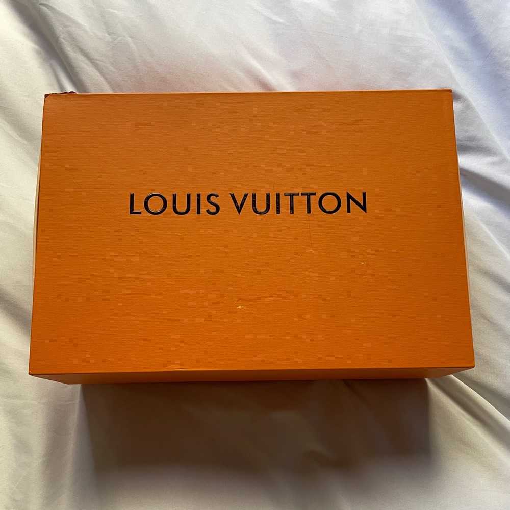 White and baby blue Louis Vuitton Trainer sneakers size: 9.5 brand new.
